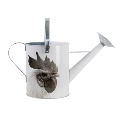 Regadera Metalica Animales de Granja Blanco y Negro